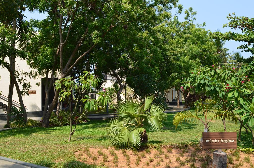Resort Welcomhotel By Itc Hotels, Kences Palm Beach, Mahabalipuram