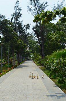 Welcomhotel By Itc Hotels, Kences Palm Beach, Resort 5*